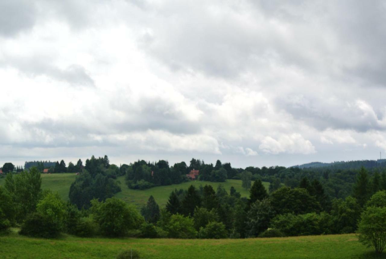 Ferienwohnung Harz-Flair 264 Hohegeiß Eksteriør bilde